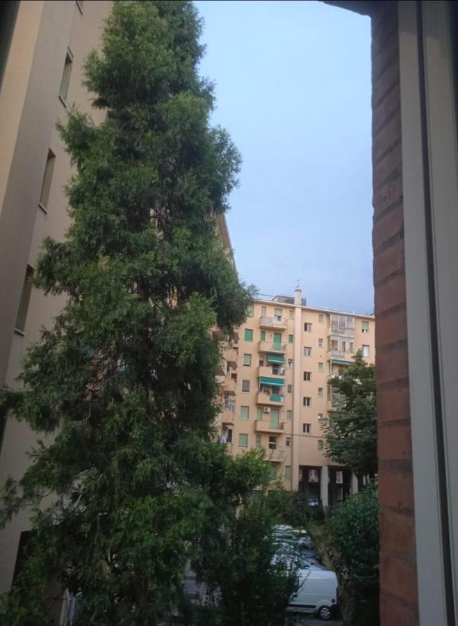 Unita & Mazza Apartments Bologna Eksteriør billede